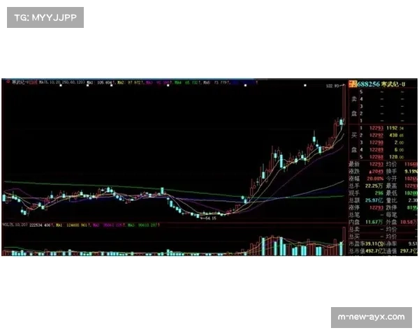 酿酒人队牛棚调度灵活 关键比赛后期局数掌控力强